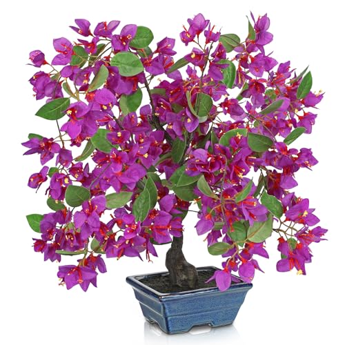 Arborus Kunstblumen im Keramik Topf 47 cm Bougainvillea Künstlich Bonsai Kunstpflanzen Blüend Künstliche Blumen wie Echt im Topf Dekopflanzen für Tisch Regal Deko im Wohnzimmer Schlafzimmer Arborus Kunstblumen im Keramik Topf 47 cm Bougainvillea Künstlich Bonsai Kunstpflanzen Blüend Künstliche Blumen wie Echt im Topf Dekopflanzen für Tisch Regal Deko im Wohnzimmer Schlafzimmer von Arborus