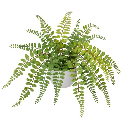 Arborus Farn Künstlich wie echt Kunstpflanze im Topf 45B cm Künstlicher Farn Künstliche Hängepflanze Fern Kunstpflanzen wie echt Künstlicher Knopffarn für Zimmer Büro Wand Tisch Deko von Arborus