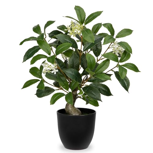 Arborus Kunstpflanze im Topf Künstlicher Lorbeerbaum 42 cm Künstliche Pflanze wie echt im Schwarzen Topf Kunstpflanze mit Lorbeerblumen Grünpflanze für Tisch Deko im Wohn Bad Büro von Arborus