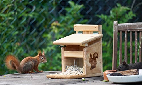 XXXL Echhörnchen Kobel/Futterhaus aus hochwertigem Lärchenholz, deutsches Qualitätsprodukt, von Hand gefertigt im Bayerischen Wald (Premium Futterhaus naturbelassen) von Qualität aus Niederbayern ARBRIKADREX