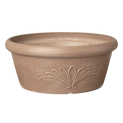 Arcadia Garden Products PSW Pot TA25TP Collection Flache Blumenzwiebel-Pfanne, niedrige Schale für Sukkulenten, Bonsai, Feengärten, Kräuter, 25,4 cm, Taupe von Arcadia