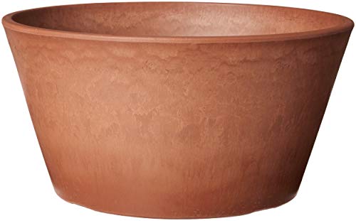 Arcadia Garden Products TD25TC PSW Schlanke Glühbirnenpfanne, 25,4 x 12,7 cm, Terra-Cotta-Farbe von Arcadia