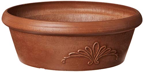 Arcadia Garden Products TA25TC Glühbirnenpfanne, 10 x 3,5 cm, Terra-Cotta-Farbe, 25,4 x 8,9 cm von Arcadia