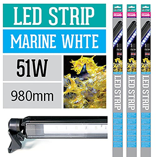 Arcadia LED Leuchte Series 5 Strip Marine White 51 Watt 980mm Aquarien Aquarium Beleuchtung von Arcadia