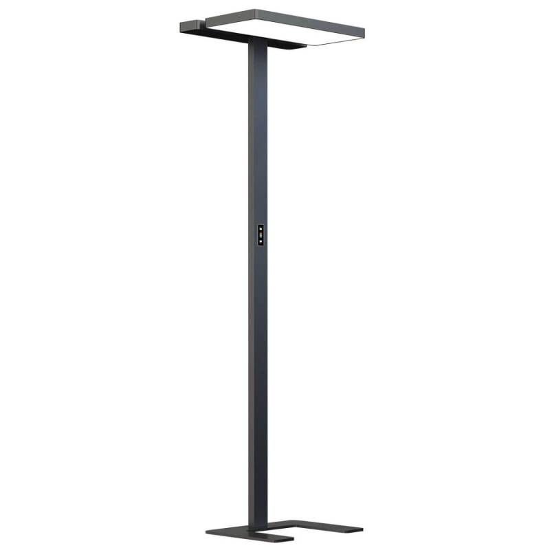 Arcchio LED Aila 10025786 Dimmbar mit Bewegungsmelder Modern in Schwarz aus Aluminium 2-flammig Arbeitszimmerleuchte Arcchio LED Aila 10025786 Dimmbar mit Bewegungsmelder Modern in Schwarz aus Aluminium 2-flammig Arbeitszimmerleuchte von Arcchio