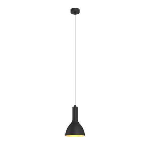 Arcchio Pendelleuchte Cosmina (Modern) in Schwarz aus Metall (1 flammig, E27) - Deckenlampe Esstischlampe Hängelampe Hängeleuchte Küchenleuchte von Arcchio