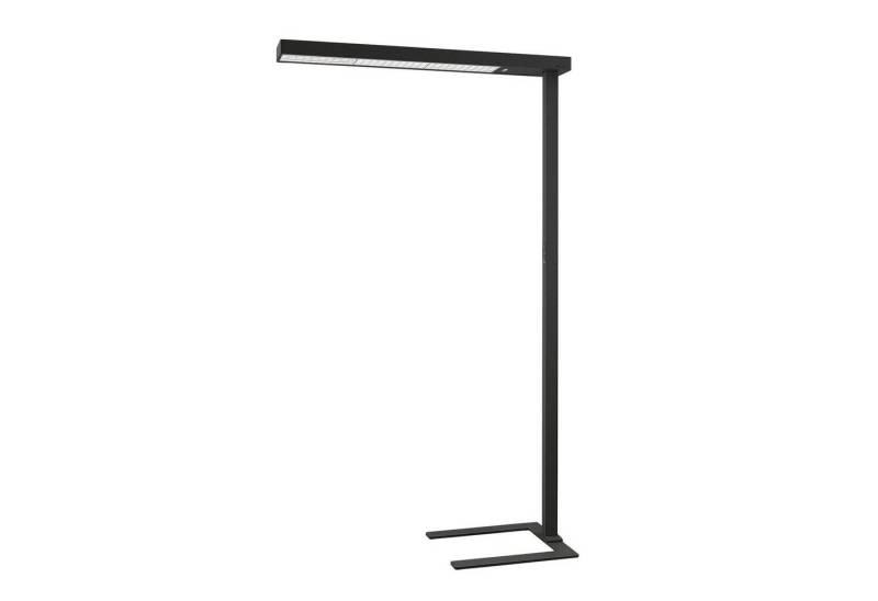 Arcchio Stehlampe Susi, Enthalten, 19,5 W LED + 123 W LED, universalweiß von Arcchio