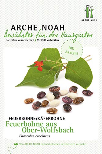 Arche Noah 6655 Feuerbohne aus Ober-Wolfsbach (Bio-Feuerbohnensamen) von Arche Noah