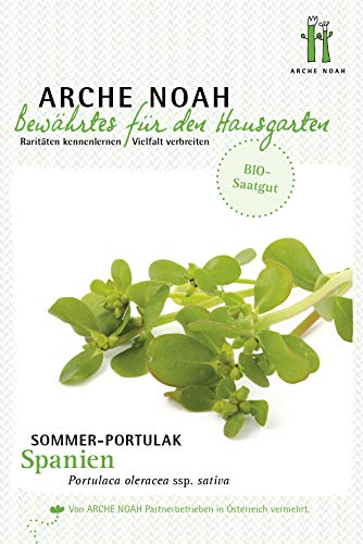 Arche Noah 6660 Sommerportulak Spanien (Bio-Portulaksamen) von Arche Noah
