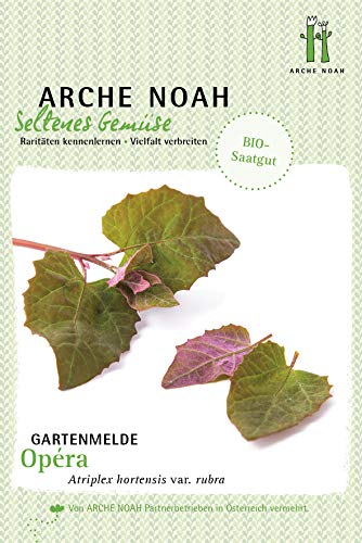 Arche Noah 6663 Rote Gartenmelde Opera (Bio-Gartenmeldesamen) von Arche Noah