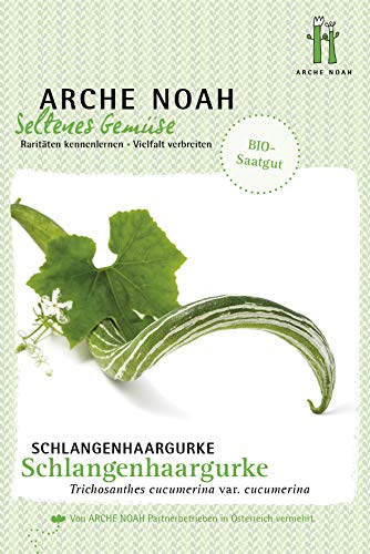 Arche Noah 6665 Schlangenhaargurke (Bio-Schlangenhaargurkesamen) von Arche Noah