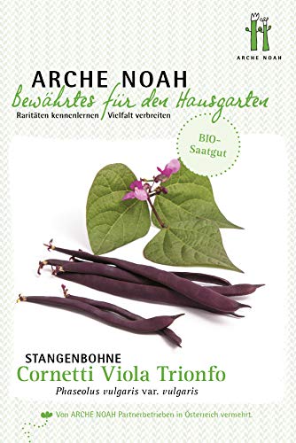Arche Noah 6667 Stangenbohne Cornetti Viola Trionfo (Bio-Stangenbohnesamen) von Arche Noah