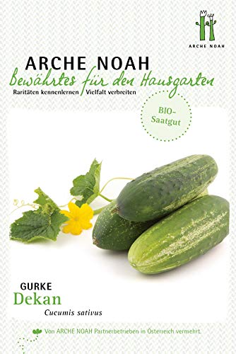 Arche Noah 6677 Einlegegurke Dekan (Bio-Gurkensamen) von Arche Noah