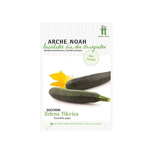Arche Noah 6680 Zucchini Zelena Tikvica (Bio-Zucchinisamen) von Arche Noah
