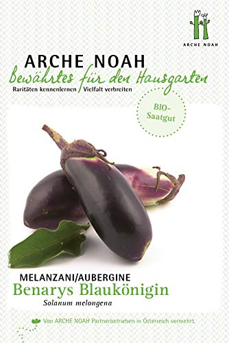 Arche Noah 6691 Aubergine Benarys Blaukönigin (Bio-Auberginensamen) von Arche Noah