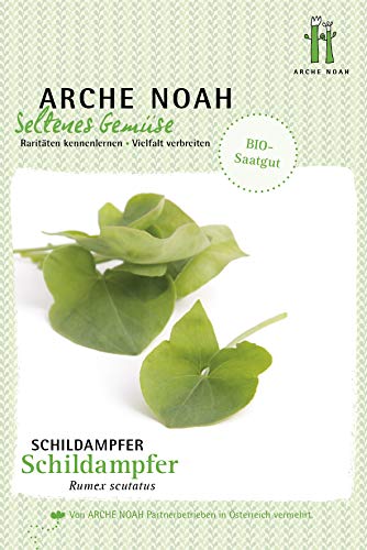 Arche Noah 6695 Schildampfer (Bio-Schildampfersamen) von Arche Noah