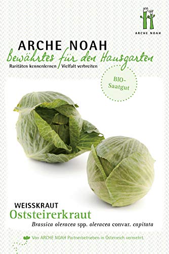 Arche Noah 6697 Weißkraut Oststeirerkraut (Bio-Weisskrautsamen) von Arche Noah