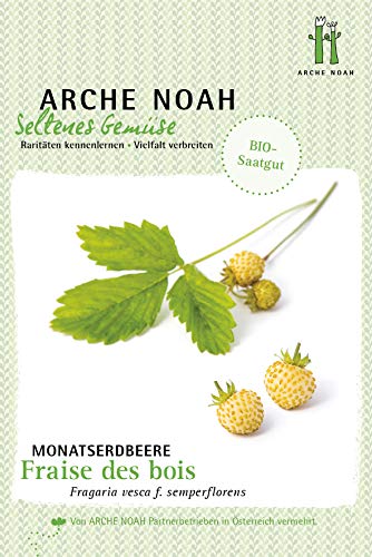 Arche Noah 6701 Monatserdbeere Fraise des Bois (Bio-Erdbeerensamen) von Arche Noah