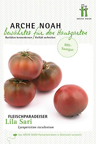 Arche Noah 6711 Fleischtomate Lila sari (Bio-Fleischtomatensamen) von Arche Noah