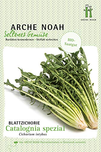 Arche Noah 6713 Blattzichorie Catalogna spezial (Bio-Blattzichoriesamen) von Arche Noah