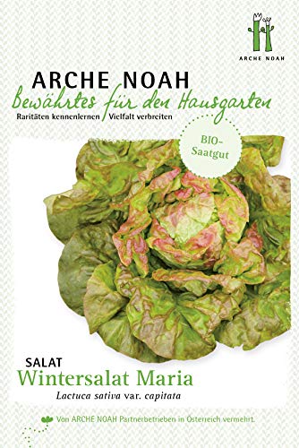 Arche Noah 8207 Salat Wintermarie (Bio-Salatsamen) von Arche Noah