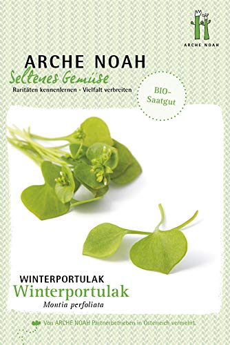 Arche Noah 9360 Winterportulak (Bio-Portulaksamen) von Arche Noah