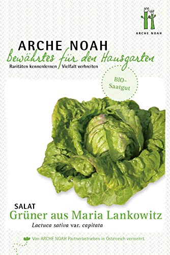 Arche Noah 6699 Krachsalat Grüner aus Maria Lankowitz (Bio-Salatsamen) von Arche Noah