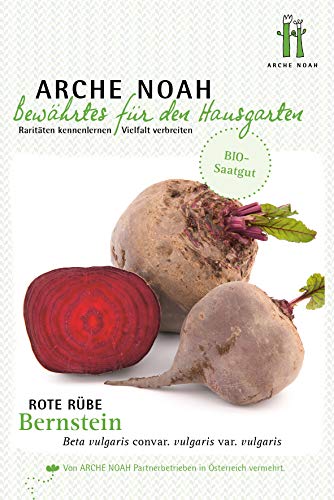 Arche Noah 6698 Rote Rübe Bernstein (Bio-Rübensamen) von Arche Noah