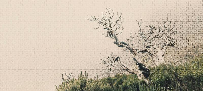 Architects Paper Fototapete Atelier 47 Death Tree Puzzle 2, glatt, Wald, (6 St), Vlies, Wand, Schräge, Decke von Architects Paper