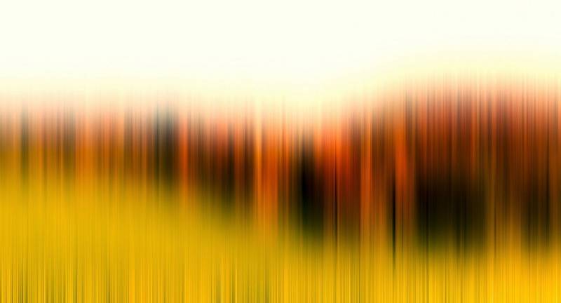 Architects Paper Fototapete Atelier 47 Diffused Tree Row 2, glatt, abstrakt, (5 St), Vlies, Wand, Schräge, Decke von Architects Paper