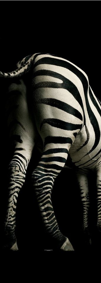 Architects Paper Fototapete Zebra, (1 St), Zebra Tapete Fototapete Zebra Panel 1,00m x 2,80m Schwarz Weiß von Architects Paper