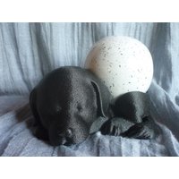 Urne Für Hunde Klein, Unikat, Andenken , Tierurne, 10 cm Durchmesser Hund Verschiedene Farben Möglich Urne Für Hunde Klein, Unikat, Andenken , Tierurne, 10 cm Durchmesser Hund Verschiedene Farben Möglich von ArcoirisUrnen