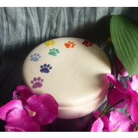 Urne Für Katzen Oder Hunde, Andenken , Kleintier, Tierurne , Pfötchen, Regenbogen Urne Für Katzen Oder Hunde, Andenken , Kleintier, Tierurne , Pfötchen, Regenbogen von ArcoirisUrnen