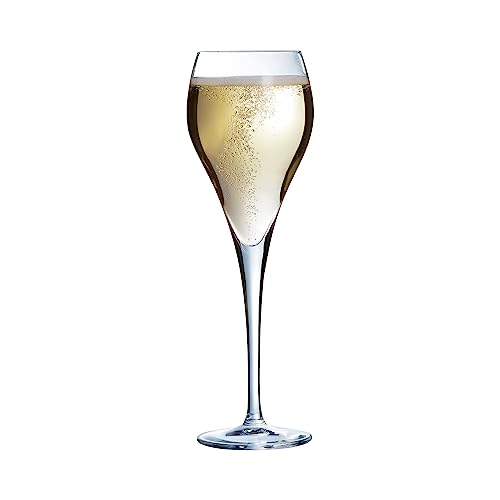 Arcoroc - Kollektion Brio – 6 Champagnergläser 16 cl – Transparenz und Stärke – verstärkte Verpackung von Arcoroc