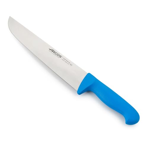 Arcos Serie 2900 - Metzgermesser Steakmesser - Klinge Nitrum Edelstahl 250 mm - HandGriff Polypropylen Farbe Blau von Arcos