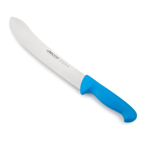 Arcos Serie 2900 - Metzgermesser Steakmesser - Klinge Nitrum Edelstahl 250 mm - HandGriff Polypropylen Farbe Blau von Arcos