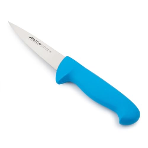Arcos Fleischermesser Professionell - Edelstahlklinge 130 mm - Präziser Schnitt, Ergonomischer Griff - Serie 2900 Arcos Fleischermesser Professionell - Edelstahlklinge 130 mm - Präziser Schnitt, Ergonomischer Griff - Serie 2900 von Arcos