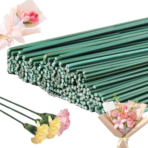 Blumendraht Grün, 100 Stück Floristendraht, 30CM Steckdraht Länge 2mm Durchmesser Blumenstäle für Künstliche Blumen, Handwerk Kranz, Blumenstrauß Blumendraht Grün, 100 Stück Floristendraht, 30CM Steckdraht Länge 2mm Durchmesser Blumenstäle für Künstliche Blumen, Handwerk Kranz, Blumenstrauß von Areiknim