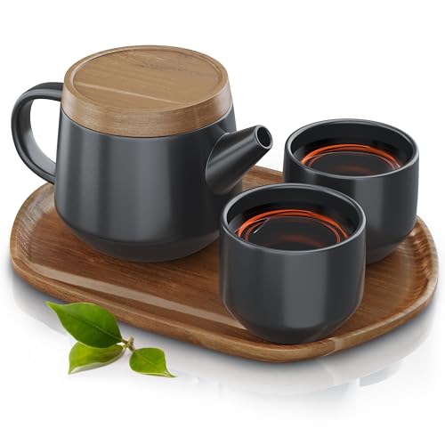 Arendo - Teeservice Set, Keramik Teekannen Set, Teekanne Porzellan, Japanische Teekanne mit Teesieb 0,6 Liter, Teekanne mit Deckel Untersetzer 2 Tassen und Tablett von Arendo