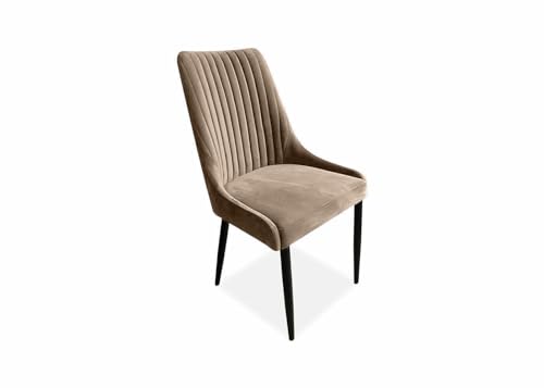 Meble Ares Esszimmerstuhl Beige & Metall - Esstisch Stühle - Samt Stuhl Esszimmer - Dining Chair - Buchenholz Seselstuhl Wohnzimmer - Stühle Esszimmer - Küchenstühle - Polsterstuhl Esszimmer von Ares Meble