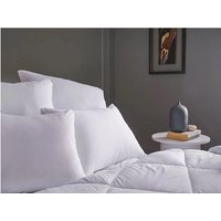 Aryasoft Kopfkissen mit Microfaserfüllung 2 stück 70x50 | waschbar 30 Grad Aryasoft Kopfkissen mit Microfaserfüllung 2 stück 70x50 | waschbar 30 Grad von Arga Home