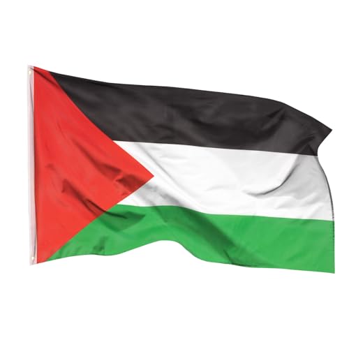 Aricona Palästina Flagge 90x150cm - wetterbeständige Fahne mit Messingösen, 100% Polyester, robuste Doppelnaht & in lebendigen Farben - ideal für Flaggen-Liebhaber, Palestinenser & Freunde von Aricona