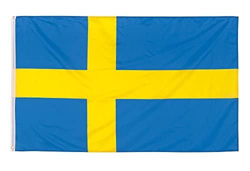 Aricona Schweden Flagge - Schwedische Nationalflagge mit Messing-Ösen - 90 x 150 cm - Wetterfeste Fahnen für Fahnenmast - 100% Polyester von Aricona