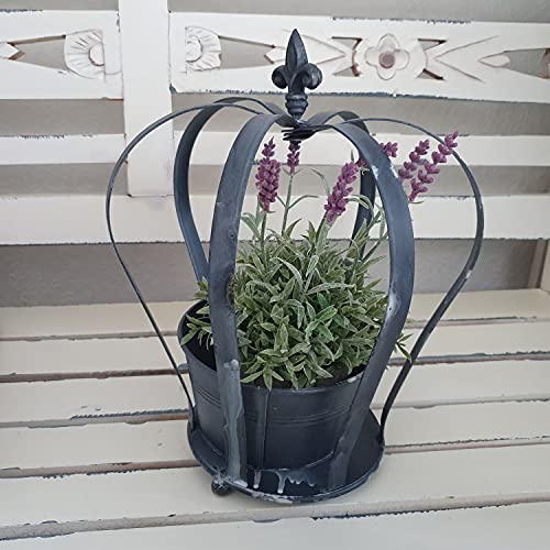 Arinosa Pflanztopf Zink Krone Dekotopf Ø 25 x 29 cm H von Arinosa