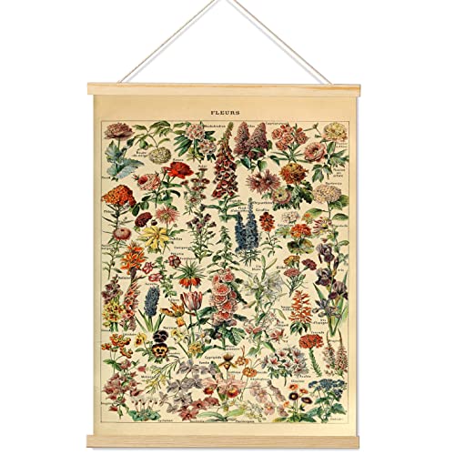 Armindou Vintage-Blumen Poster mit Rahmen, Pflanzen-Blumendrucke, hängende Poster für Schlafzimmer, Zimmer, ästhetische Dekorationen, Wanddekoration, 40.6x55.9 cm von Armindou