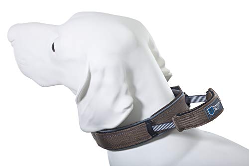 Armored Tech Dog Control Halsband mit integrierter Kurzleine (L - Halsumfang 45-53 cm, Mocca) von Armored Tech