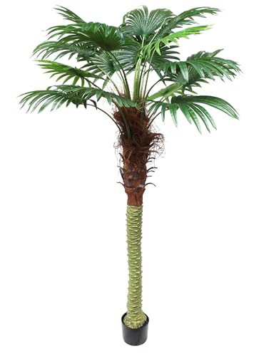 Arnusa Große künstliche Palme 200 cm mit 15 Palmenwedel Fächerpalme Kunstpflanze von Arnusa