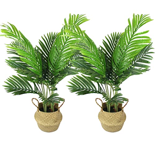 Arnusa Künstliche Palme 90cm im Seegraskorb Kunstpflanze Kunstpalme Dekoration Pflanze Zimmerpflanze mit Topf (2) von Arnusa