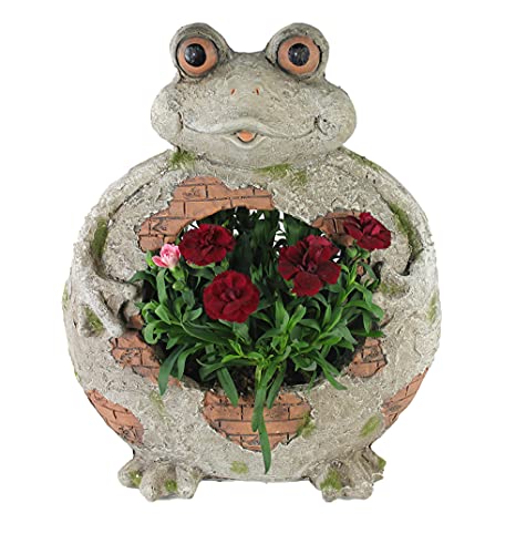 Arnusa Blumentopf Frosch mit Pflanztopf Dekorativer Blumenkübel 37cm Tierfigur Gartendekoration GB003 Gartenfigur von Arnusa