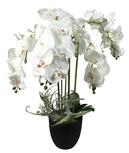 Arnusa Große künstliche Orchidee 110 cm Weiß Kunstpflanze Künstliche Pflanze XXL mit Topf von Arnusa
